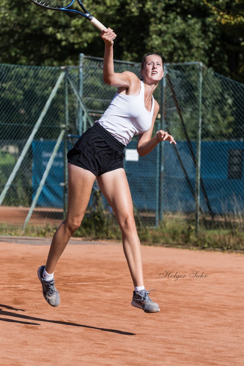 Bild 488 - dreyermedia open